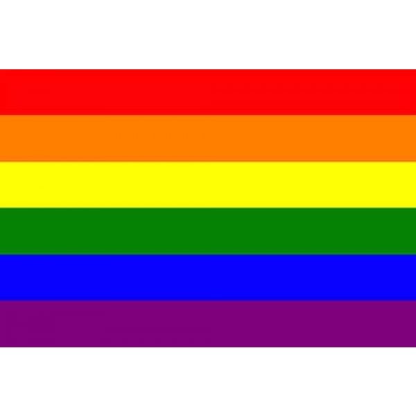 rainbow pride flag