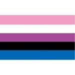 Genderfluid (Gay Pride) at World Flag Shop