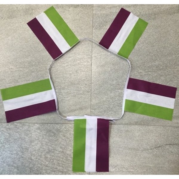 6m 20 Flag Genderqueer Gay Pride Bunting