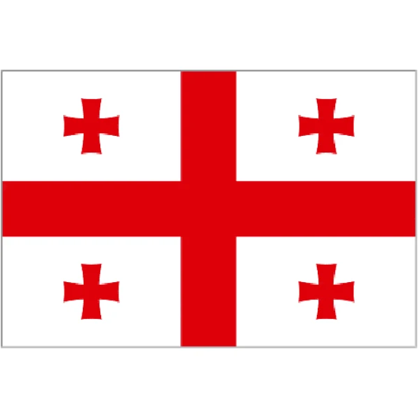 Georgia medium table flag