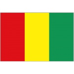 Guinea flag