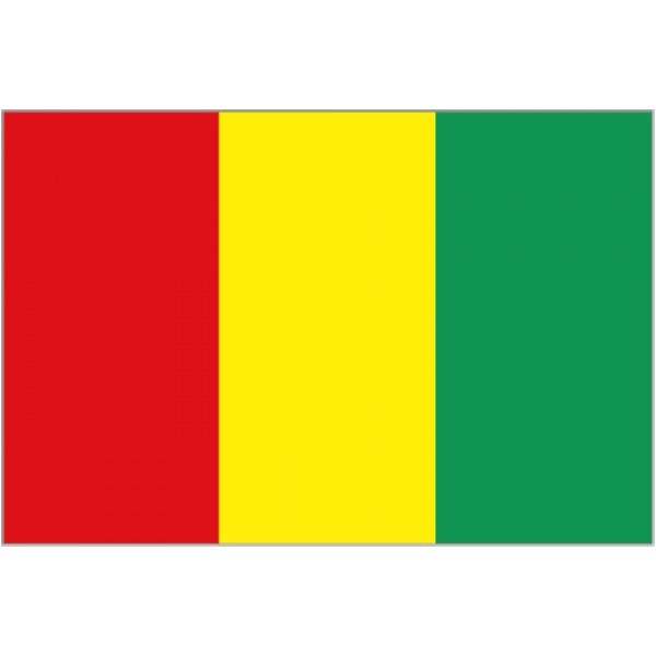 Guinea flag