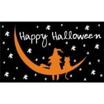 Halloween Witch and Cat 5'x3'