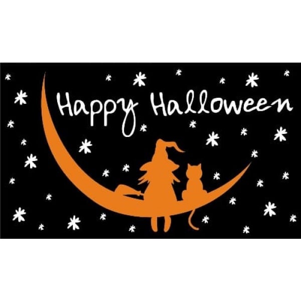 Halloween Witch and Cat 5'x3'
