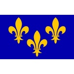 Ile de France hand flag