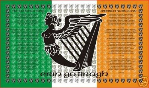 ireland-soldiers-4ddbcbc94976b Ireland Soldiers 5'x3' - Image 1