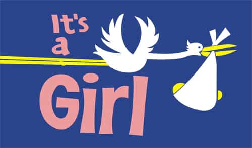 it-s-a-girl-4ddbb2ac8ce07 It's a Girl 5'x3' - Image 1