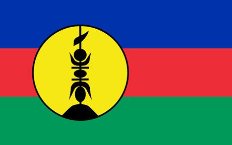 kanak-hand-flag-4eaa7b9d088c0 New Caledonia/Kanak Hand flag - Image 1