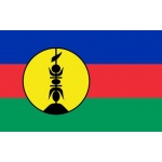 New Caledonia/Kanak Table flag