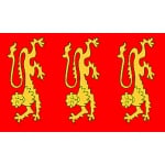 King Richard 1st Banner 3'x5'