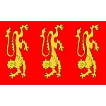 King Richard 1st Banner 3'x5'