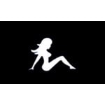 Lady 5'x3'