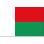 Madagascar large hand flag