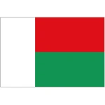Madagascar large hand flag