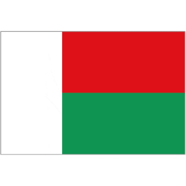 Madagascar large hand flag