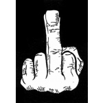Middle Finger 3'x2'