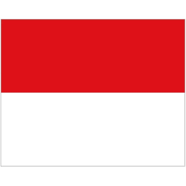 Monaco large hand flag