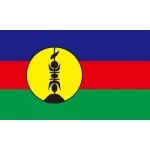 New Caledonia 5'x3'