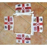Northern Ireland Centenary Bunting