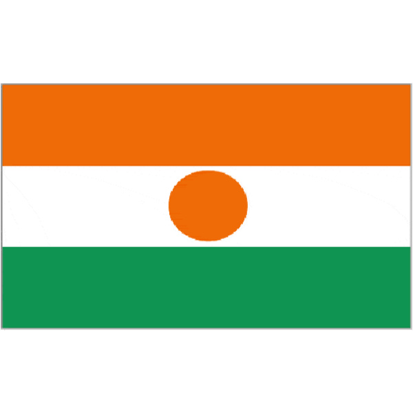 Niger medium table flag