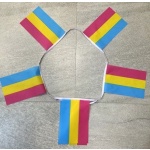 6m 20 flag Pansexual (Gay Pride) bunting