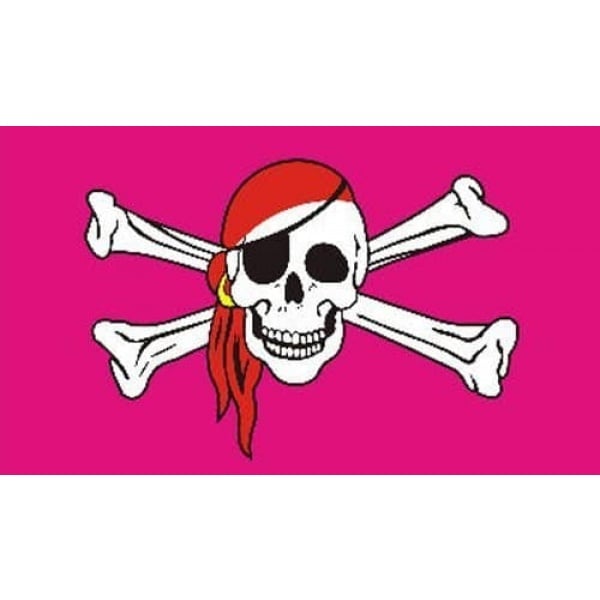 Pink Skull and Crossbones 3'x2'