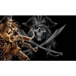 Pirate with Guns 5'x3' (digital print)