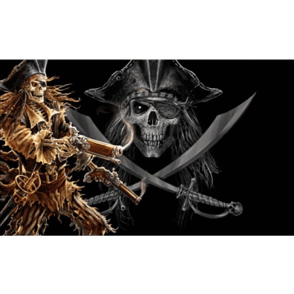 Pirate with Guns 5'x3' (digital print)