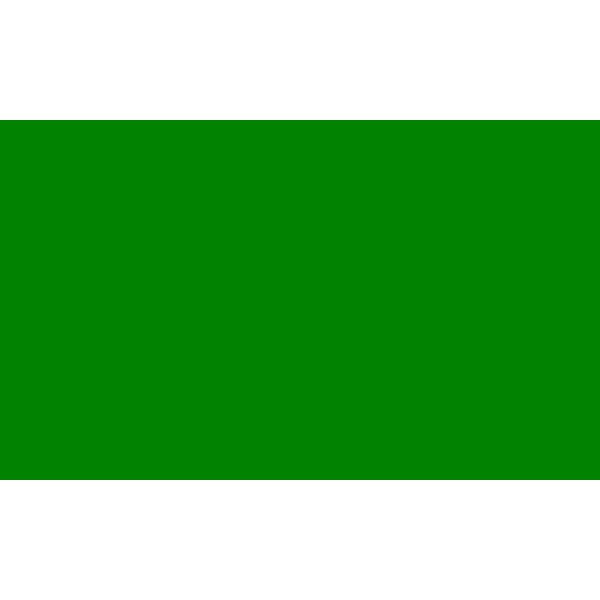 Plain Green Hand Flag