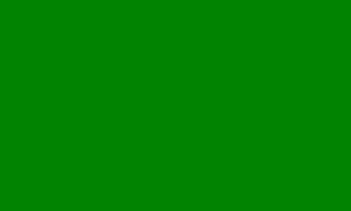 plain-green-hand-4df5dac0ca894 Plain Green Hand Flag - Image 1