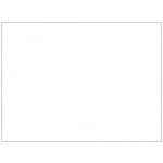plain-white-large-flag