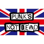 Punks Not Dead 3'x2'