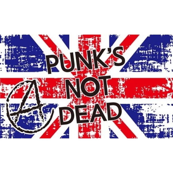 Punks Not Dead (new) 5'x3'