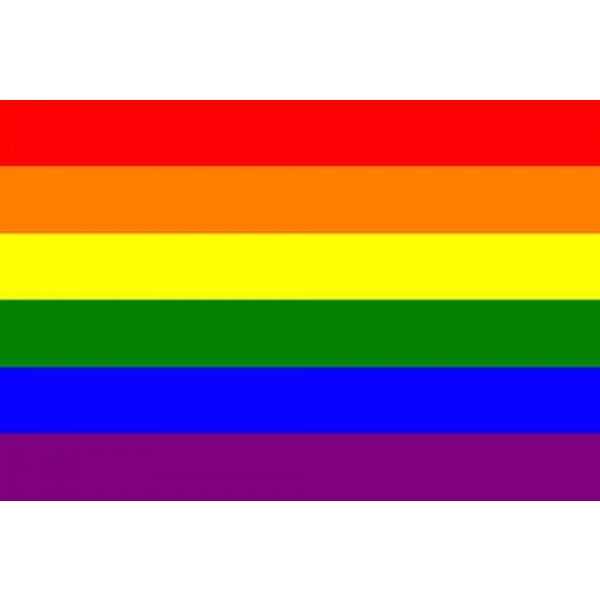 Gay Pride Flags - Rainbow