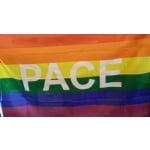 Rainbow Pace hand flag