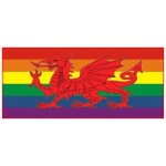 Rainbow Wales (gay pride) 5'x3' - Image 2