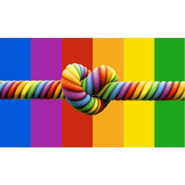Rainbow Love Knot Flag