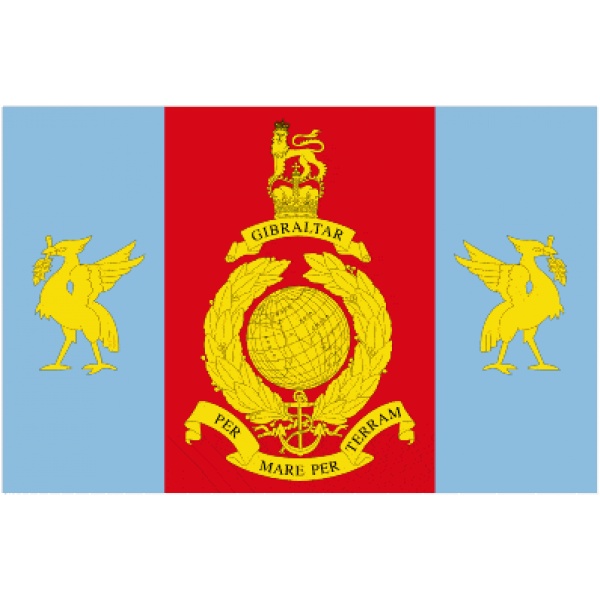 Royal Marines Reserve Merseyside hand flag