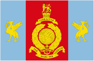royal-marines-re-552bb6eddf0d8 Royal Marines Reserve Merseyside table flag - Image 1