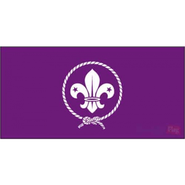 Scout - Purple hand flag