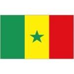 Senegal medium table flag