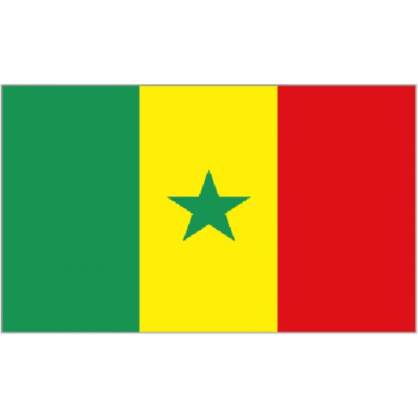 Senegal medium table flag