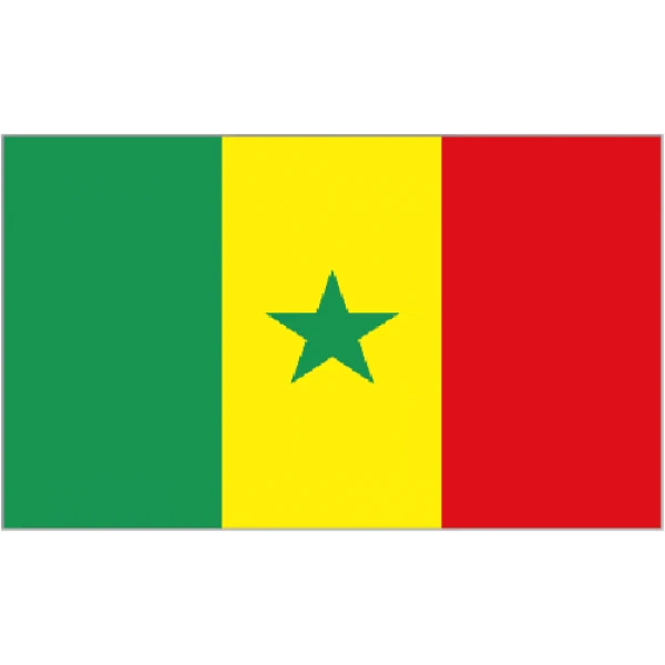Senegal medium table flag