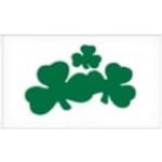 Shamrock (Ireland) 5'x3'