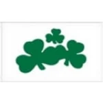 Shamrock (Ireland) 5'x3'
