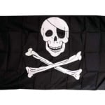 Skull and Crossbones 5'x3'