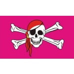 Skull & Crossbones Pink (Pirate) medium hand flag