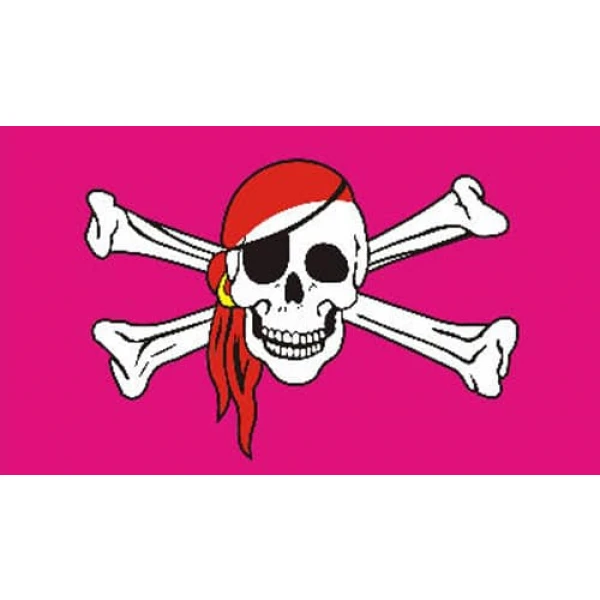 Skull & Crossbones Pink (Pirate) medium hand flag