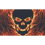 Skull with Fire 5'x3'