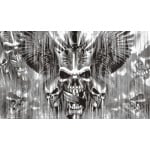 Skull with Sword 5'x3'